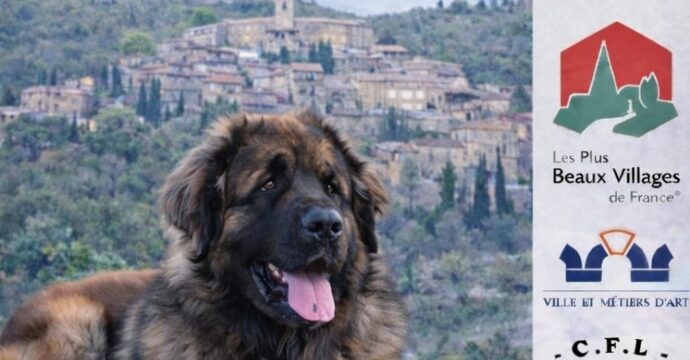 affiche de la manifestation